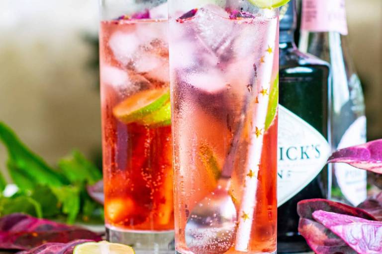 Inspiration image for Pink Gin and Tonic