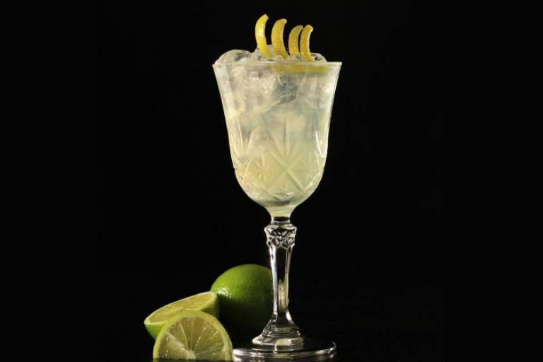 Inspiration image for Simpele Gin Sour