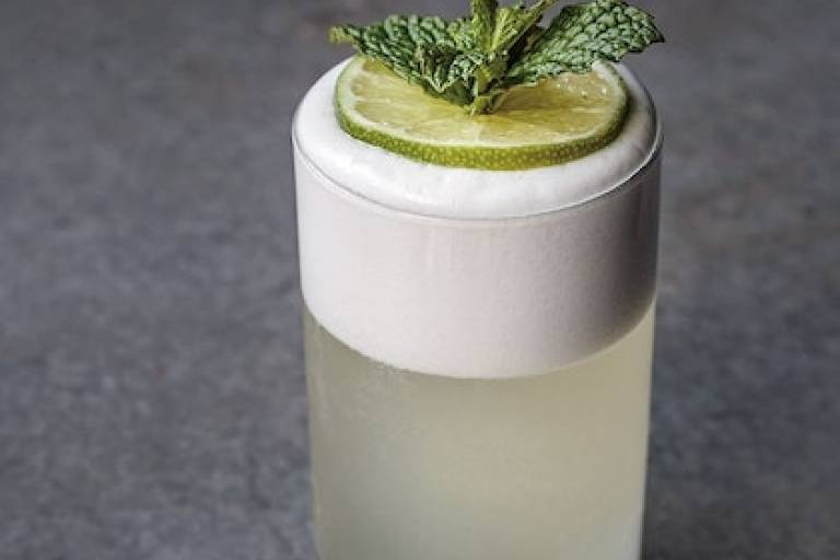 Inspiration image for Gin Fizz