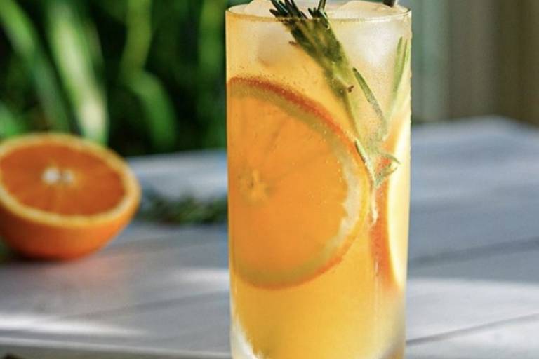 Inspiration image for Orange Rosemary Collins
