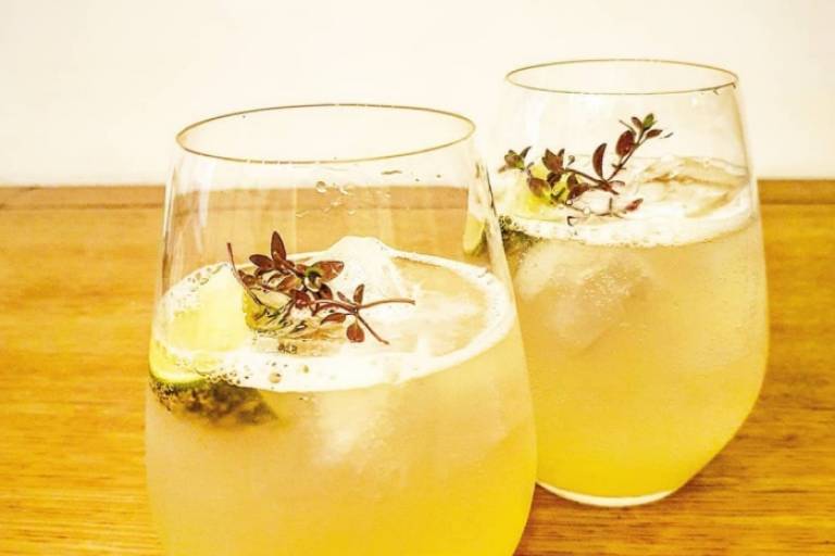 Inspiration image for Lemon Elderflower Spritzer