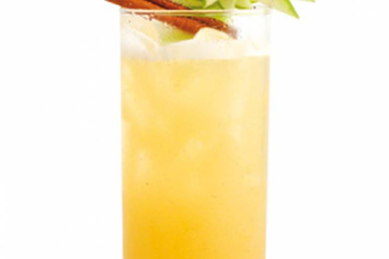 Inspiration image for Iced Honey Pumpkin Cider