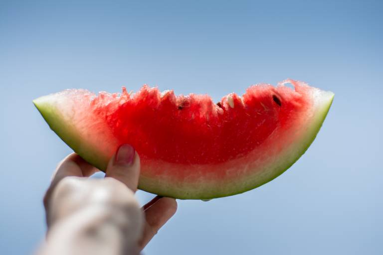 Inspiration image for Zomercocktails met Watermeloen