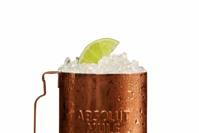 Inspiration image for Absolut Juice Apple Mule
