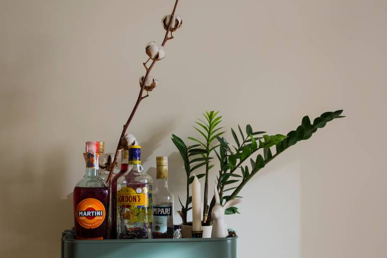 Inspiration image for Wat heb je nodig om thuis cocktails te maken?