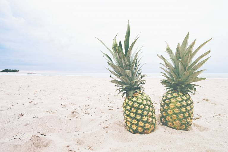 Inspiration image for Tropische cocktails met ananas en Malibu
